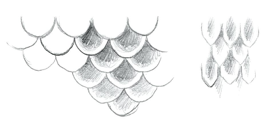 930x424 Drawing Mermaid Daily Simple Step - Simple Mermaid Drawing