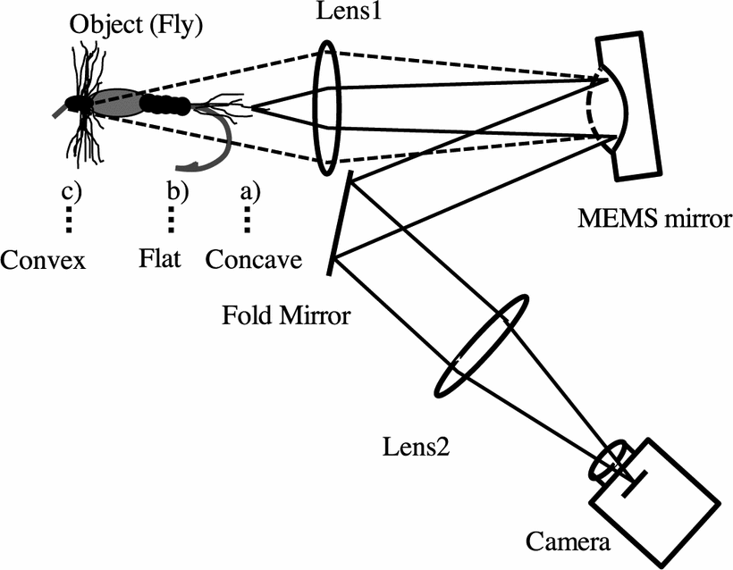 820x638 Optical Focus Control In A Simple Microscope Download - Simple Microscope Drawing