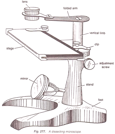 Sketch Dissecting Microscope Diagram Micropedia - Gambaran
