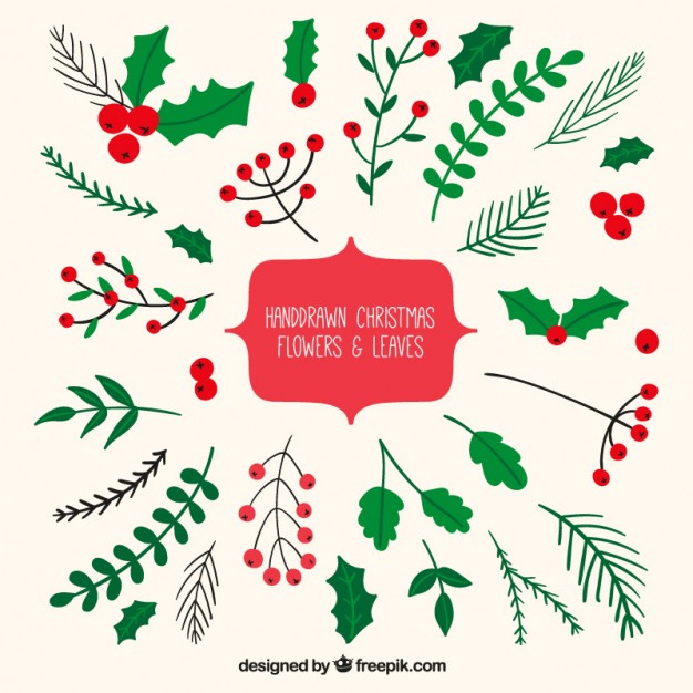 626x626 Mistletoe Vectors, Photos And Free Download - Simple Mistletoe Drawing