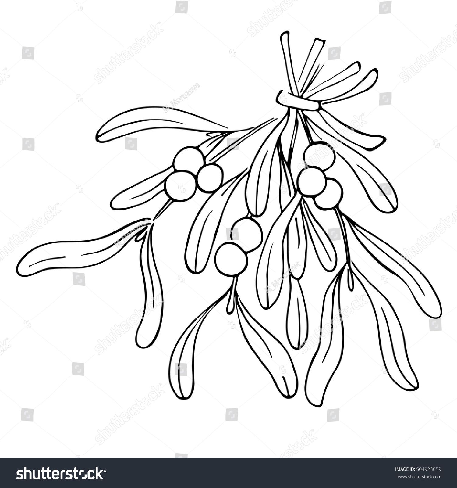 1500x1600 Art Mistletoe Drawing, Sketches, Drawings - Simple Mistletoe Drawing