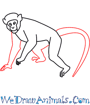 300x350 How To Draw A Monkey - Simple Monkey Drawing