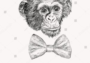 300x210 Realistic Monkey Drawing Simple Realistic Monkey Drawing Chimp - Simple Monkey Face Drawing
