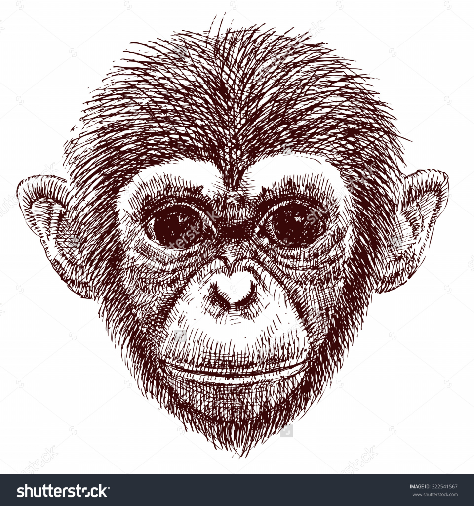 Simple Monkey Face Drawing At Paintingvalley Com Explore Collection Of Simple Monkey Face Drawing