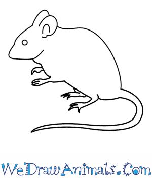 300x350 How To Draw A Mouse - Simple Mouse Drawing