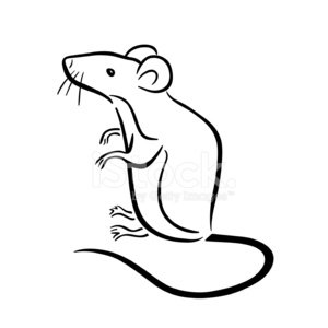 300x300 Simple Mouse Symbol Stock Vectors - Simple Mouse Drawing