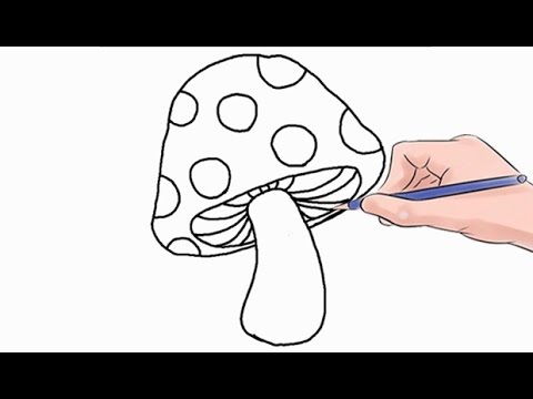 480x360 How To Draw A Mushroom Easy Step - Simple Mushroom Drawing
