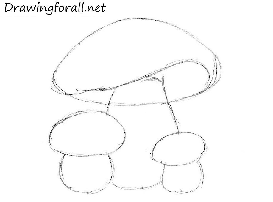 917x680 Mushroom Drawing Draw For Free Download - Simple Mushroom Drawing