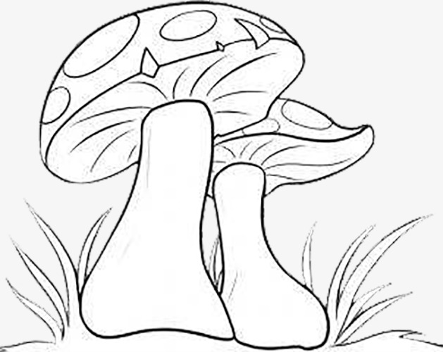 629x500 Little Sketch Of Small Mushrooms, Small Mushroom, Stroke, Simple - Simple Mushroom Drawing