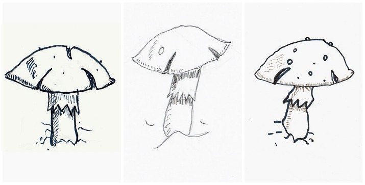 715x363 Drawing Mushrooms - Simple Mushroom Drawing