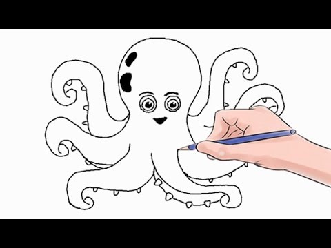 480x360 How To Draw An Octopus Easy Step - Simple Octopus Drawing