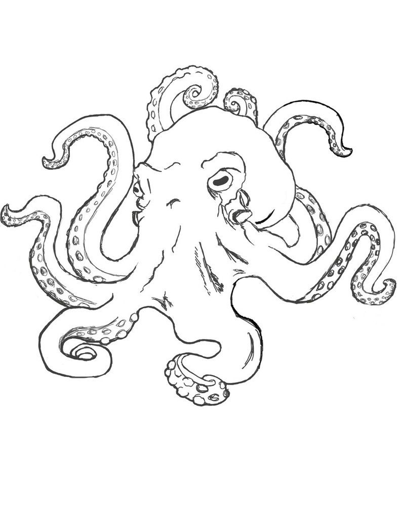 786x1017 Simple Octopus Sketch - Simple Octopus Drawing