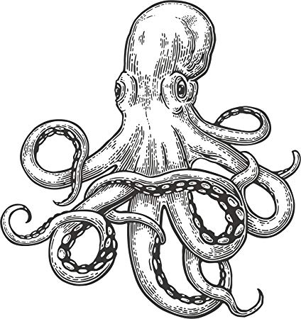 Simple Octopus Drawing at PaintingValley.com | Explore collection of ...