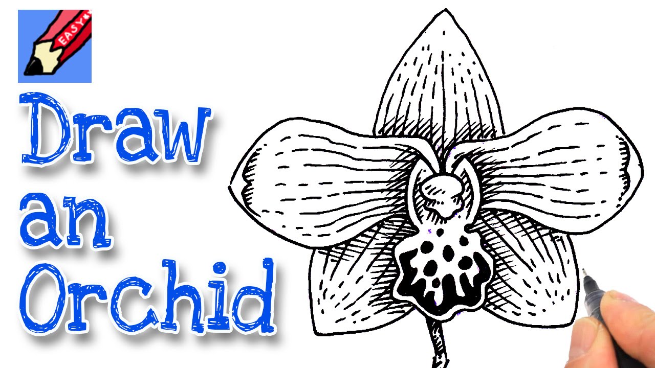 1280x720 How To Draw An Orchid Flower Real Easy - Simple Orchid Drawing