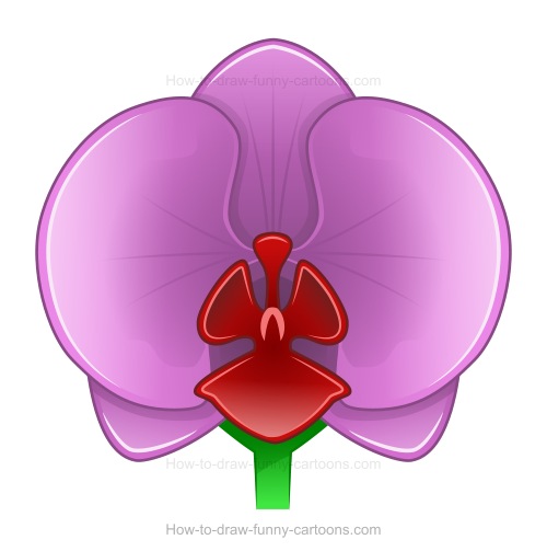 500x503 How To Draw An Orchid - Simple Orchid Drawing