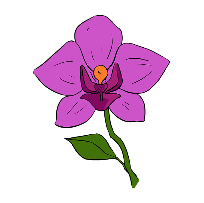 680x678 How To Draw A Beautiful Orchid - Simple Orchid Drawing