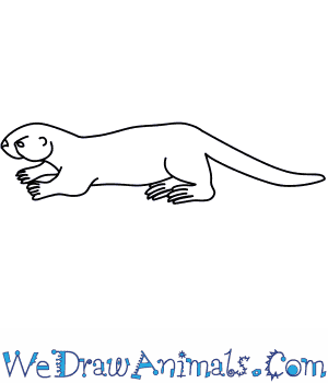 300x350 How To Draw A Sea Otter - Simple Otter Drawing
