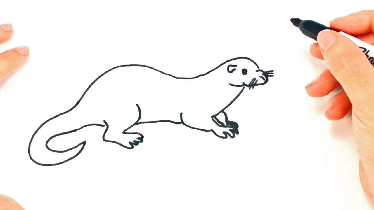 1280x720 How To Draw A Otter Step - Simple Otter Drawing