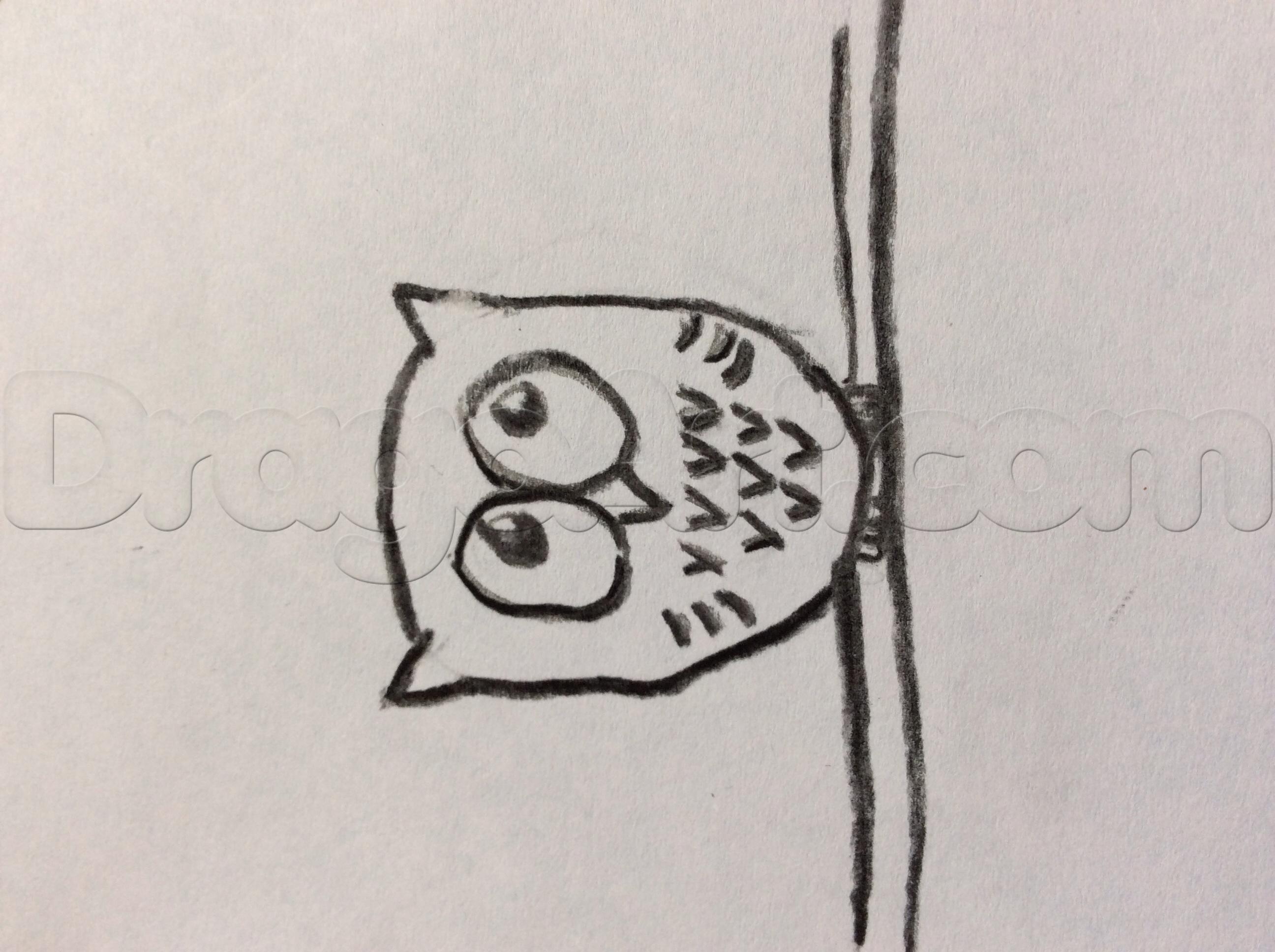 2592x1936 Simple Owl For Kids, Added - Simple Owl Drawing
