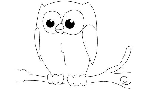 500x301 how to draw a realistic owl urgent owl drawings for kids easy owl - Simple Owl Drawing