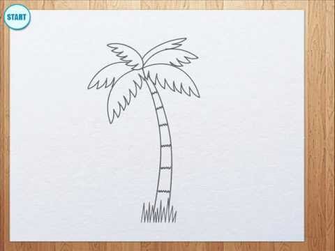 480x360 How To Draw Palm Tree For Kids - Simple Palm Tree Drawing