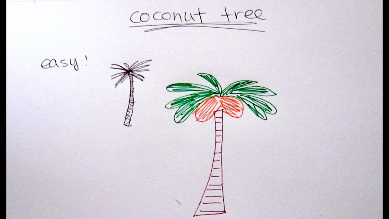 1280x720 Huge Collection Of 'palm Tree Drawing Simple' Download More Than - Simple Palm Tree Drawing