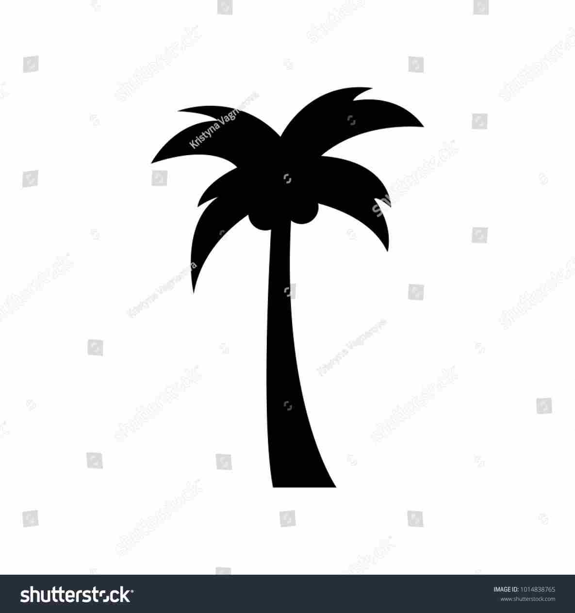 1185x1264 Realistic Simple Palm Tree Drawing Drawing Fine Art - Simple Palm Tree Drawing