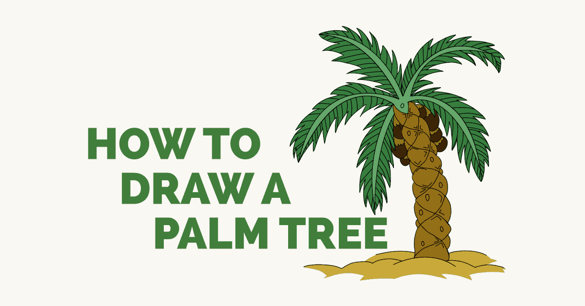 1200x628 How To Draw A Palm Tree Easy Drawing Guides - Simple Palm Tree Drawing