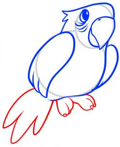 248x302 How To Draw How To Draw A Parrot For Kids - Simple Parrot Drawing