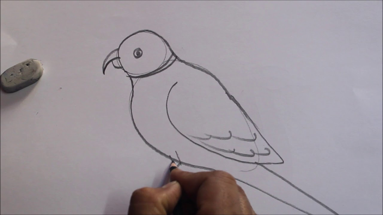 1280x720 Pencil Drawings Simple And Parrot Pencil Sketch Stepstepeasy - Simple Parrot Drawing