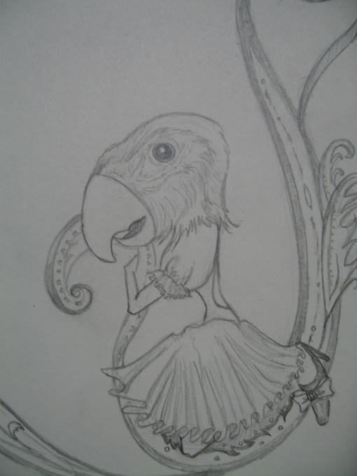 510x680 Sketch Parrot Nature Drawings Pictures Drawings Ideas For Kids - Simple Parrot Drawing