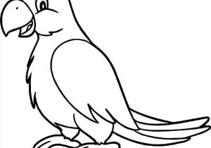 300x210 parakeet rhyoutubecom worksheet preschool kids easy gaming stock - Simple Parrot Drawing