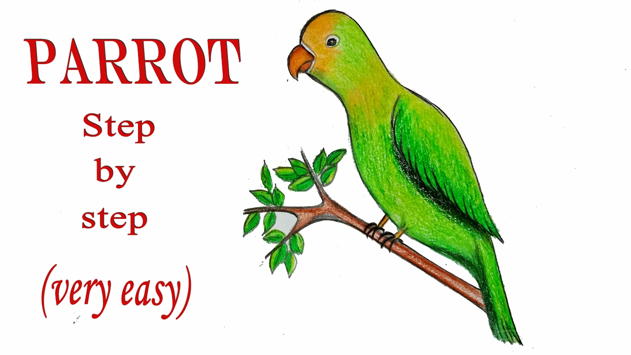 1280x720 Very Easy Drawings To Draw - Simple Parrot Drawing