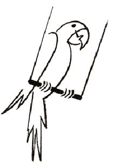 250x340 how to draw parrots drawing tutorials drawing how to draw - Simple Parrot Drawing