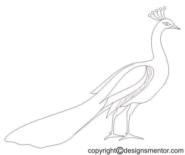 600x503 How To Draw A Peacock - Simple Peacock Drawing
