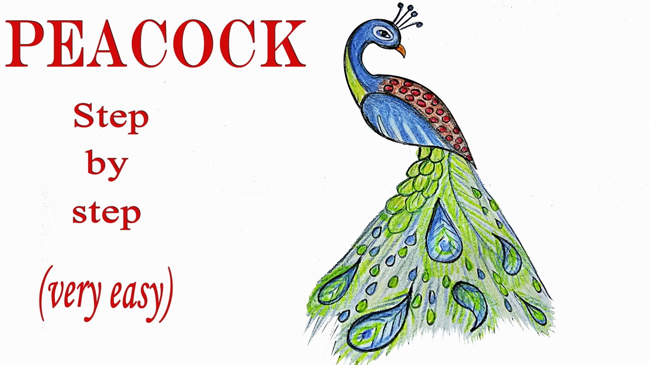 1280x720 How To Draw A Peacock Step - Simple Peacock Drawing