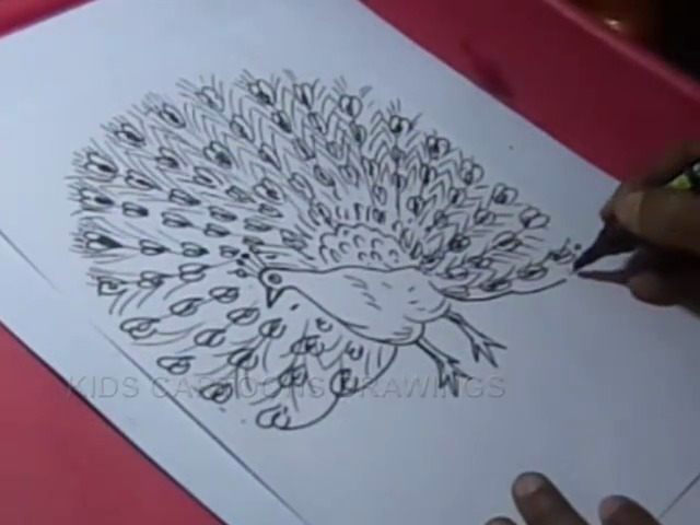640x480 Kids Cartoon Drawings How To Draw Simple Peacock Drawing For Kids - Simple Peacock Drawing
