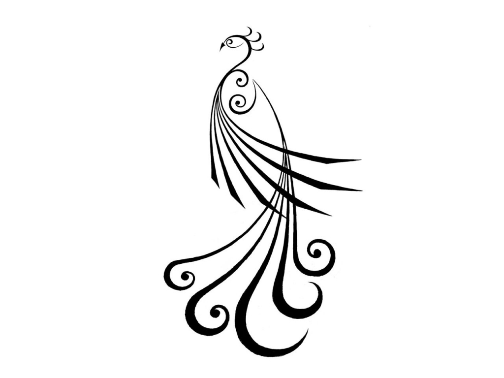 1024x768 Peacock Pencil Sketch Simple Peacock Pencil Drawing Sketches - Simple Peacock Drawing