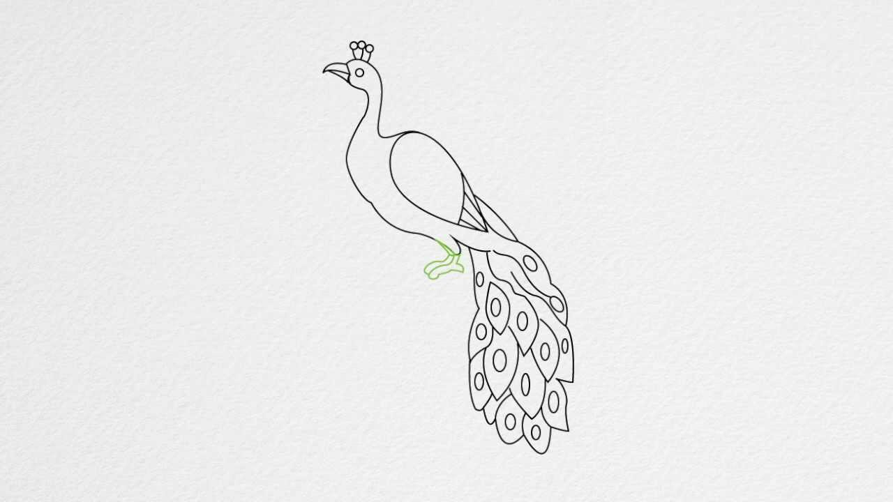1280x720 Simple Pencil Drawing Peacock - Simple Peacock Drawing