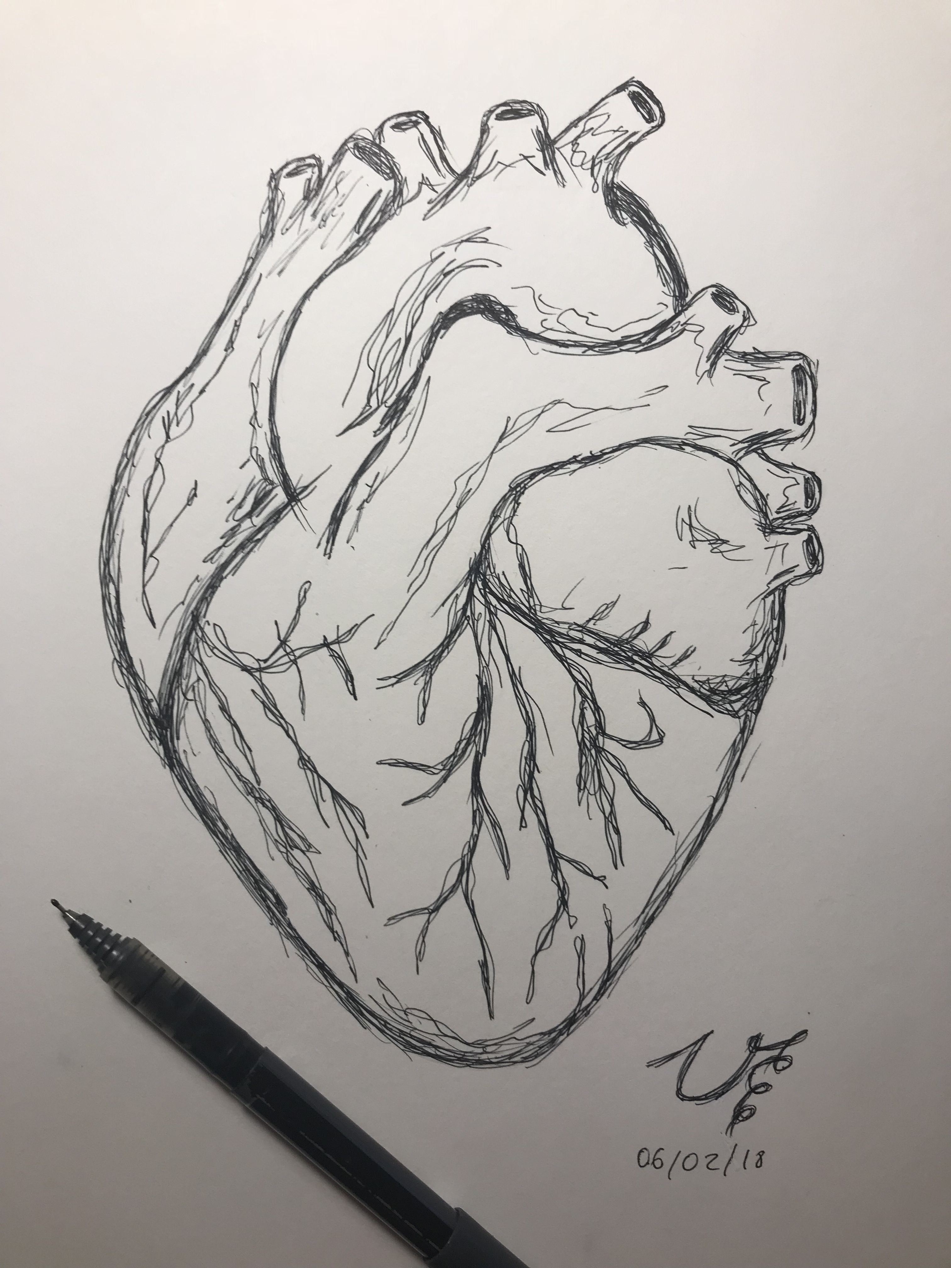3024x4032 Human Heart Drawing Drawings Draw, Art, Art Drawings - Simple Pencil Drawing Images Of Heart
