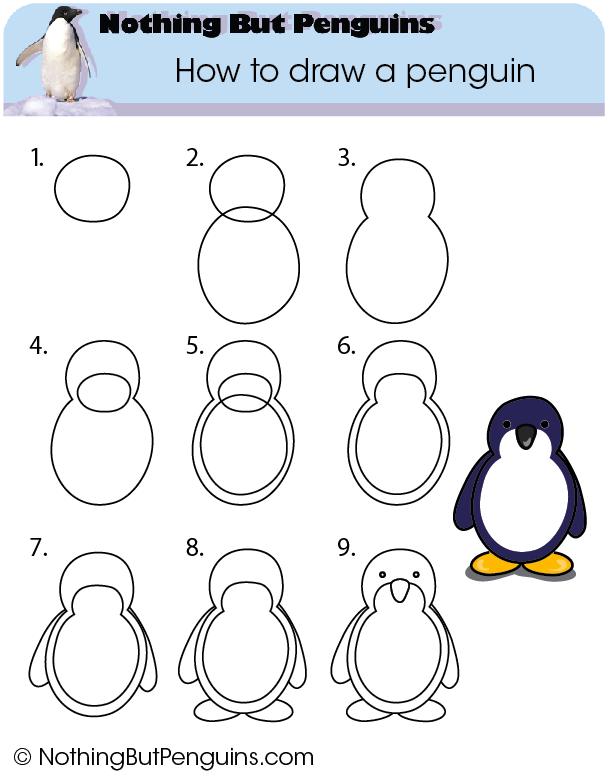 609x778 How To Draw A Penguin - Simple Penguin Drawing