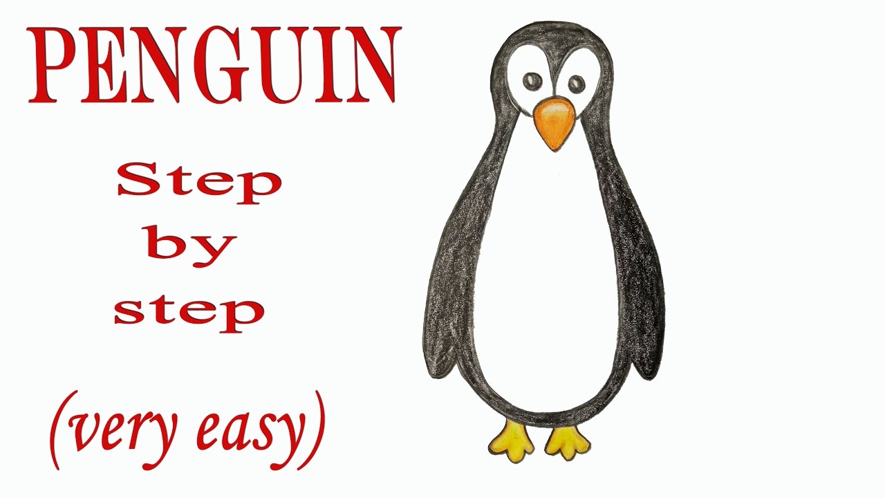 1280x720 How To Draw A Penguin Step - Simple Penguin Drawing