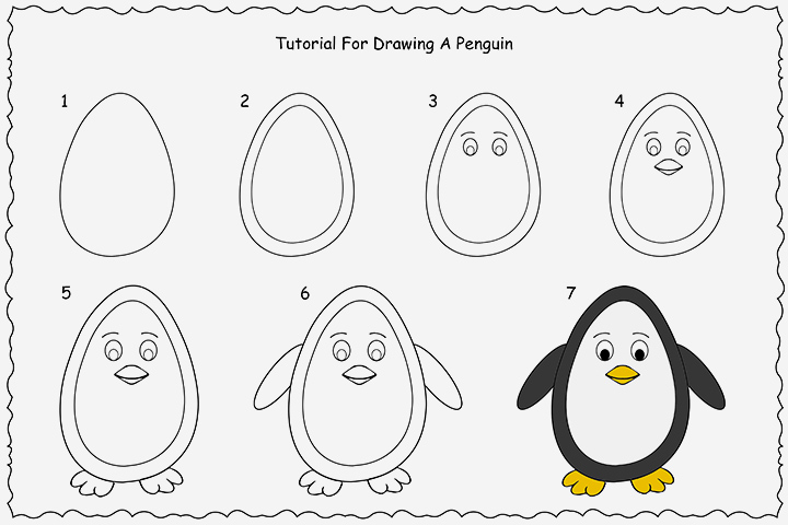 720x480 How To Draw A Penguin Step - Simple Penguin Drawing