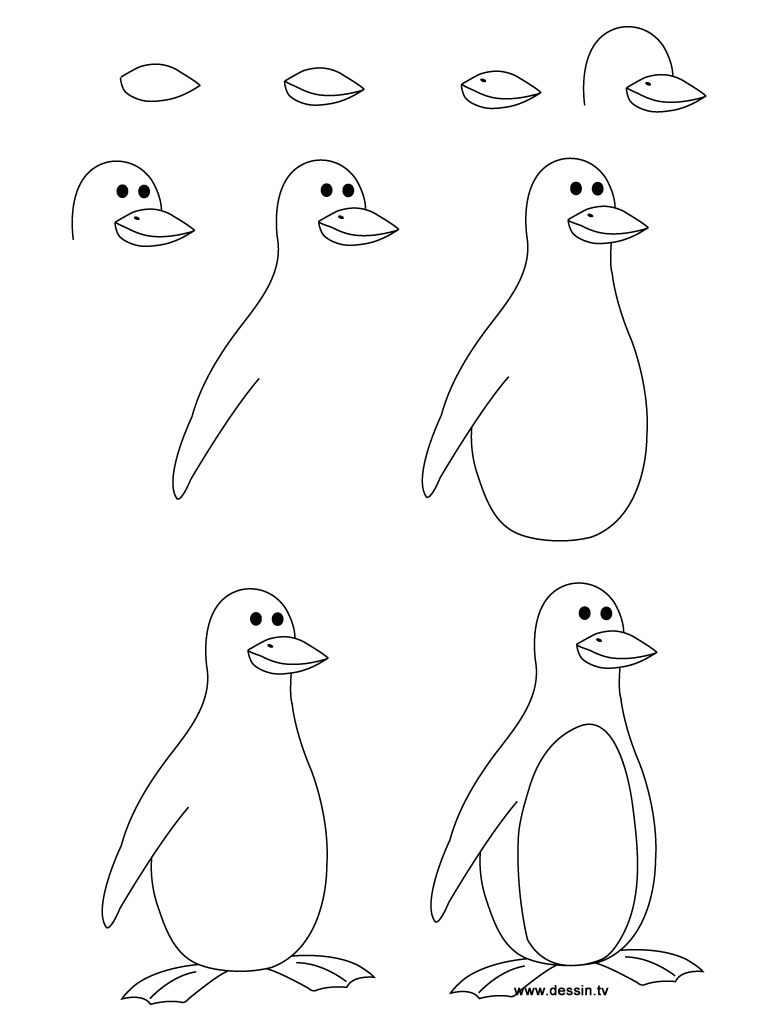768x1024 Steps To Draw A Parrot Learn How To Draw A Penguin With Simple - Simple Penguin Drawing