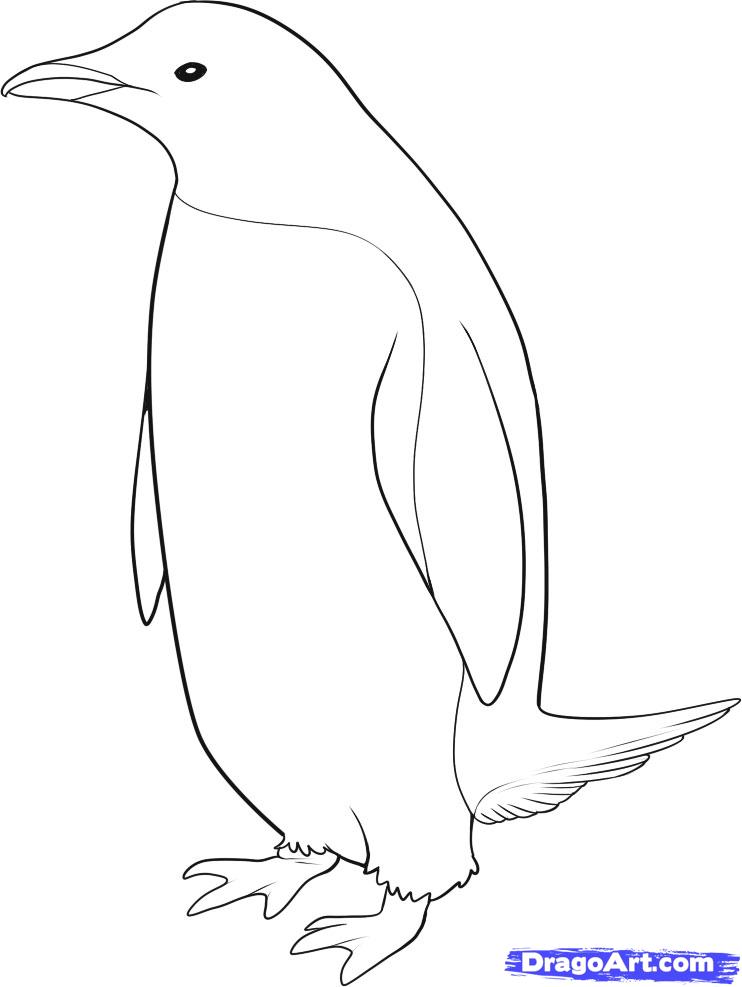 742x987 How To Draw A Penguin, Step - Simple Penguin Drawing