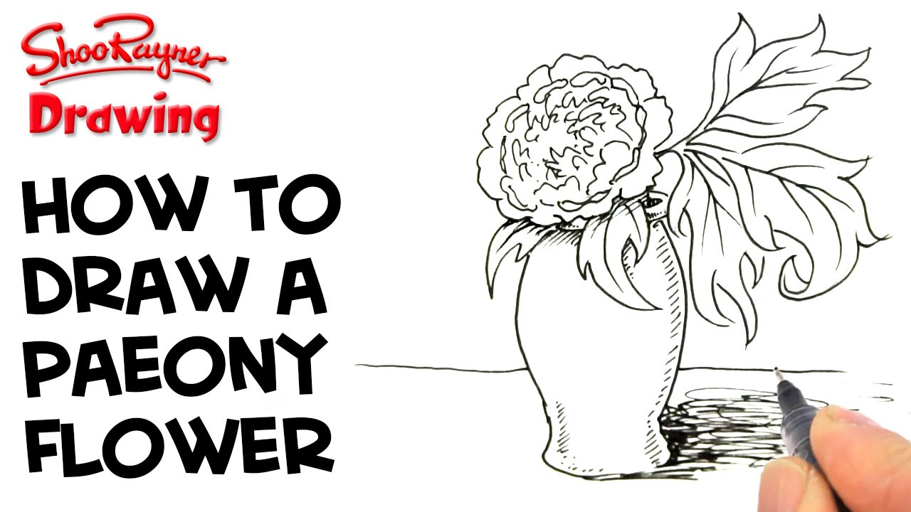 1280x720 How To Draw A Paeony - Simple Peony Drawing