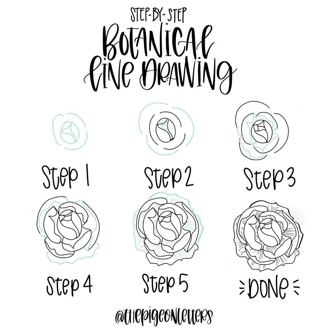 1080x1080 Step - Simple Peony Drawing