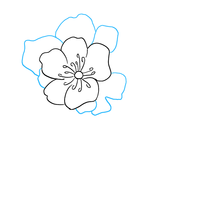 680x678 How To Draw A Peony - Simple Peony Drawing