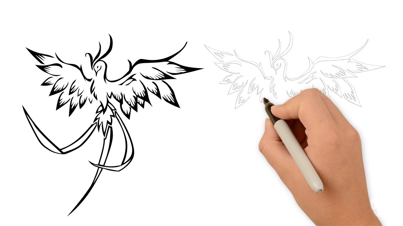 1280x720 How To Draw A Phoenix Bird Step - Simple Phoenix Drawing