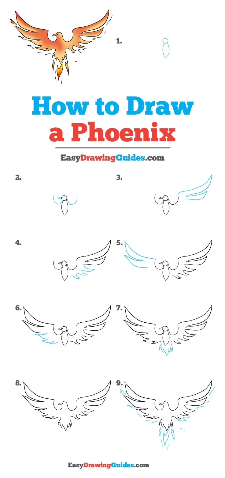 736x1560 How To Draw A Phoenix - Simple Phoenix Drawing